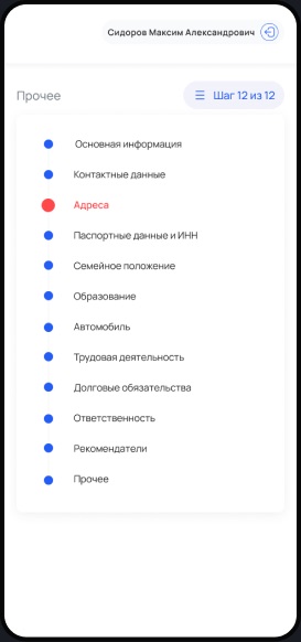 Мобильная версия: разделы анкеты кандидата
